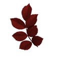 MTS-leafsred