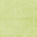 MTS-paper green
