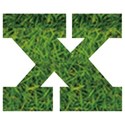 grass_0015_x