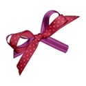 schua_happyNbright_ribbon1 copy