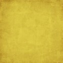 moo_cherishedpaper8