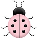 moo_parfait_ladybug