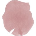 moo_memoirs_petal3