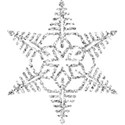 Glitter Snowflake