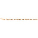 ribbon 1