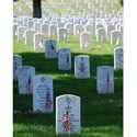 graves_at_arlington_on_memorial_day