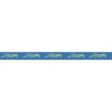 jThompson_river_ribbon1