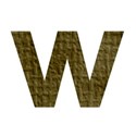 w