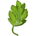 DZ_YIP_June_leaf1