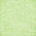 DZ_YIP_June_pp4