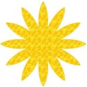 e43