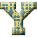 y