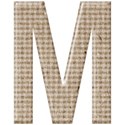 MLIVA_gemini-capM
