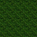 grass_back