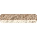 LABEL4_mikki_livanos