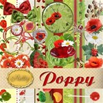 Poppy