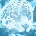 Background 04