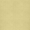cc-Rowdy-Paper01