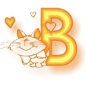 B