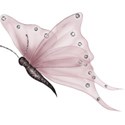 moo_edenscrush_organzafly1