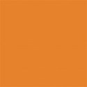 bob_bg_20