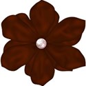 moo_ageless_crumpledflower1