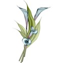 moo_aryasescape_calllily2