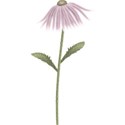moo_aryasescape_delicateflower1