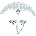 bos_mayflowers_doodle01