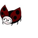 lady bug 1