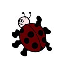 lady bug 4