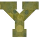 y