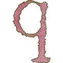 pink lower q