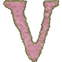 pink lower v