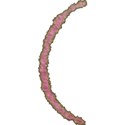 pink paranthesis-l