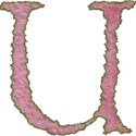 pink upper U