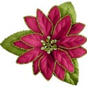 cc-CC-Poinsettia