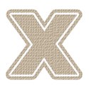 x