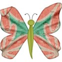 cc-TuesdayBfly01