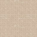 cc-TuesdayPaper05