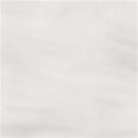jennyL_funsummer_paper5