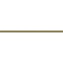 cc-HB2Mribbon04