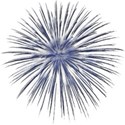 BKM_FreedomCelebration_fireworks4