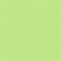 summerfun_bg_002f