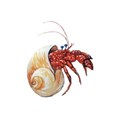 DZ_Beach_House_hcrab_sticker