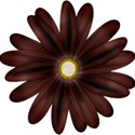 cc-W&W-Flower02