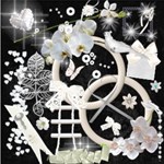 White Wedding White Wedding
