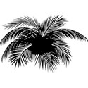 Embellishment