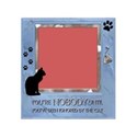 Cat Frame #1