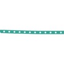 birthdaybash_ribbon3